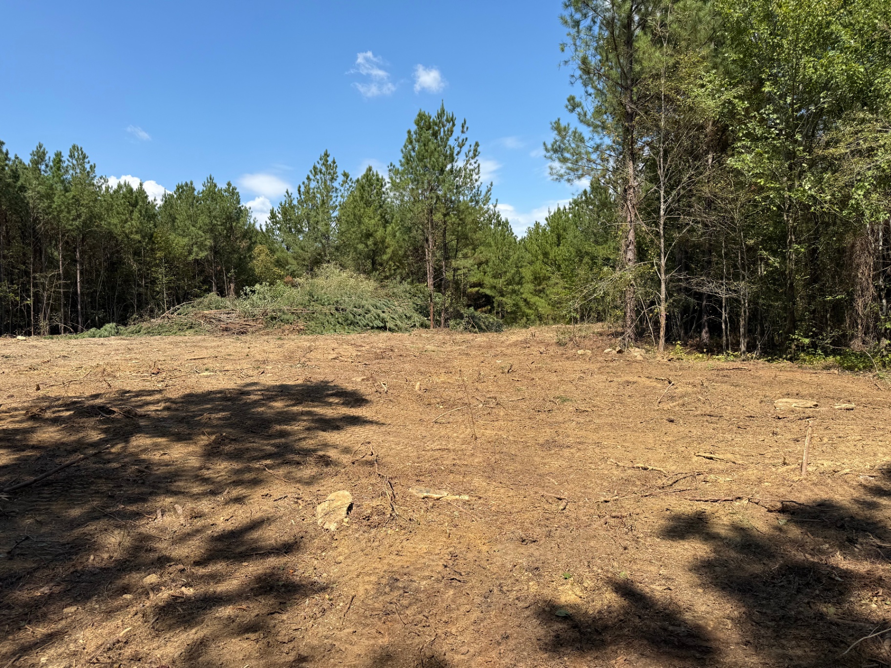 Brush and undergrowth removed by G&S Land Services in Attalla, AL