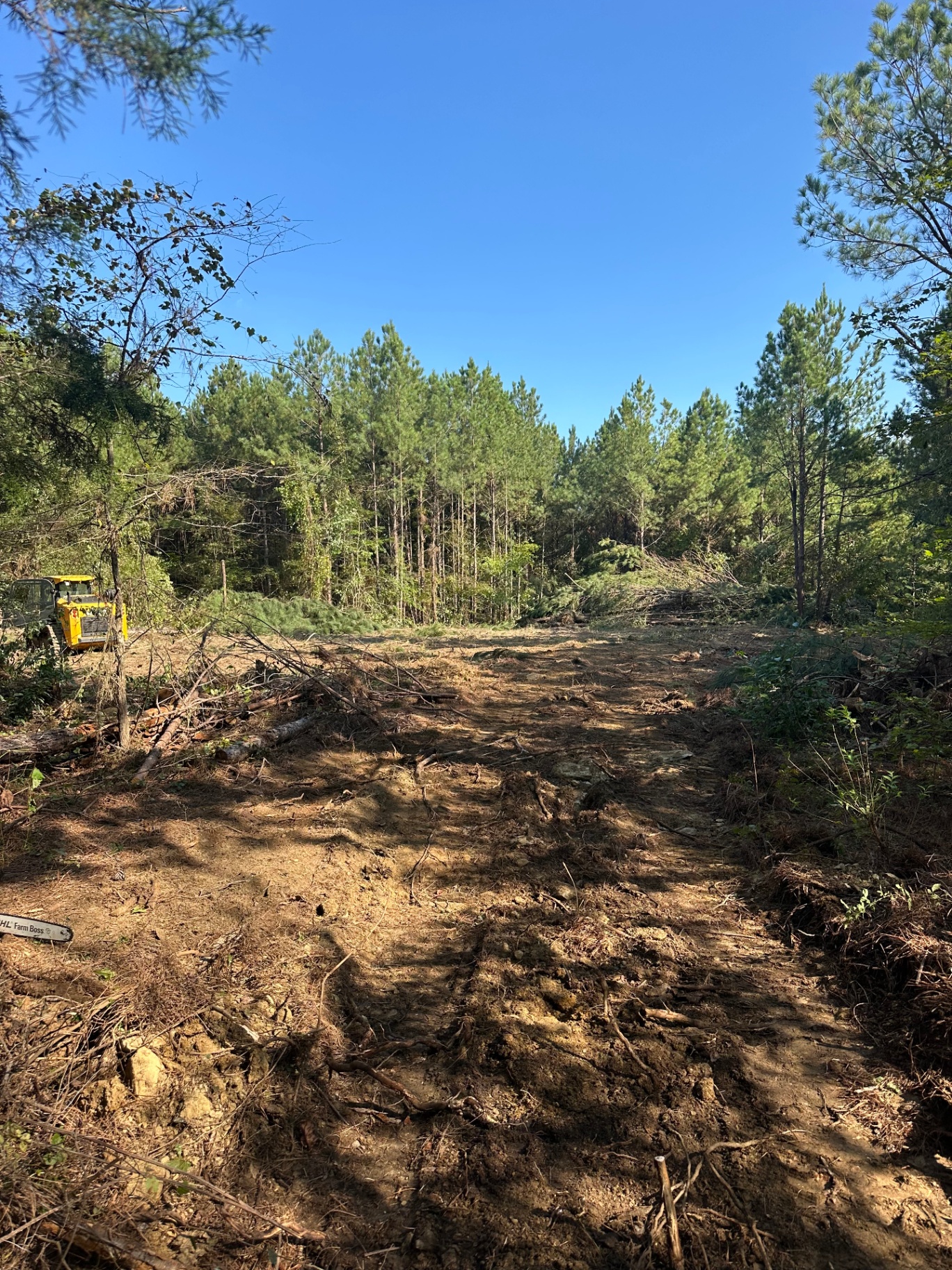 Recreational trail cut through pines by G&S Land Services in Etowah County, AL