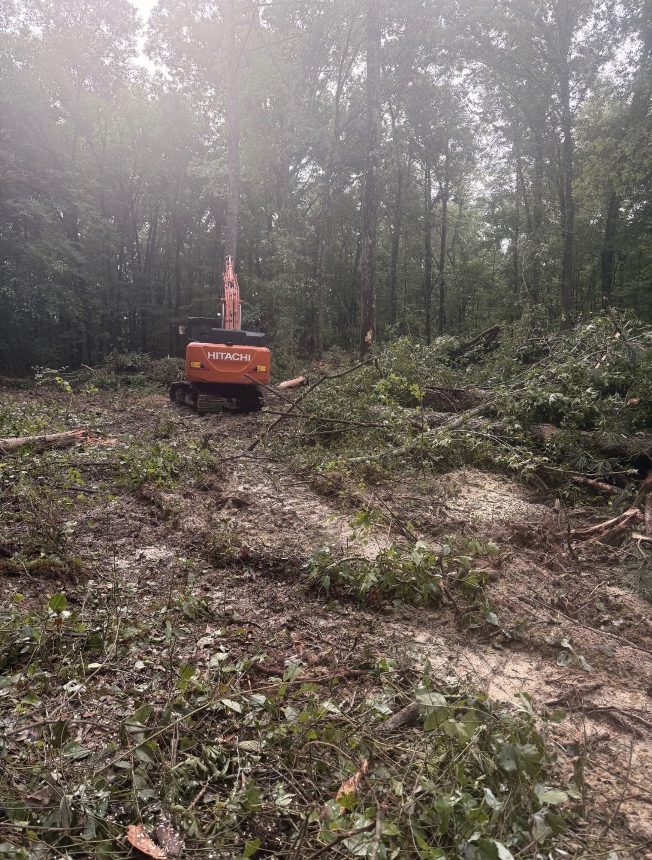 Land Clearing in Anniston, AL, Calhoun County by G&S Land Services in Anniston, AL — Calhoun County
